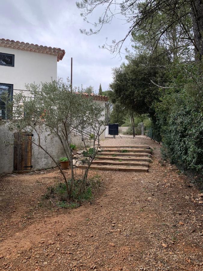 Magnifique Villa classée 4* meublé de tourisme Flassans-sur-Issole Exterior foto