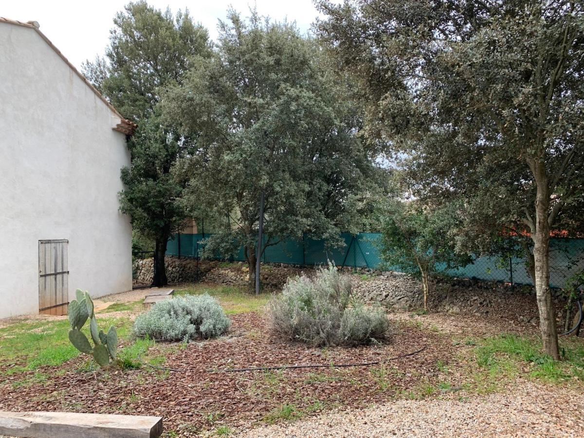 Magnifique Villa classée 4* meublé de tourisme Flassans-sur-Issole Exterior foto